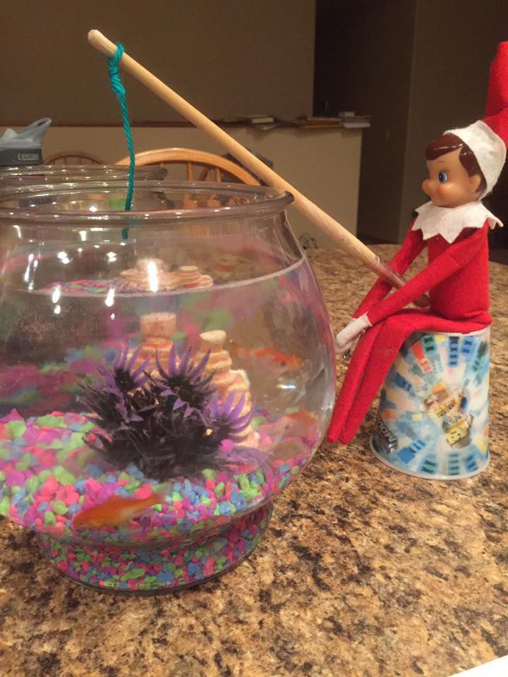 Elf on the Shelf